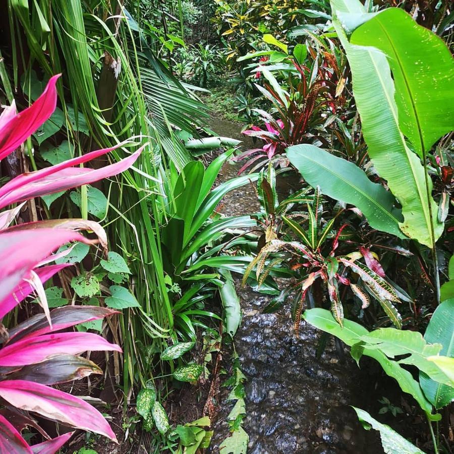 Hotel Belvedere Playa Samara Costa Rica ภายนอก รูปภาพ