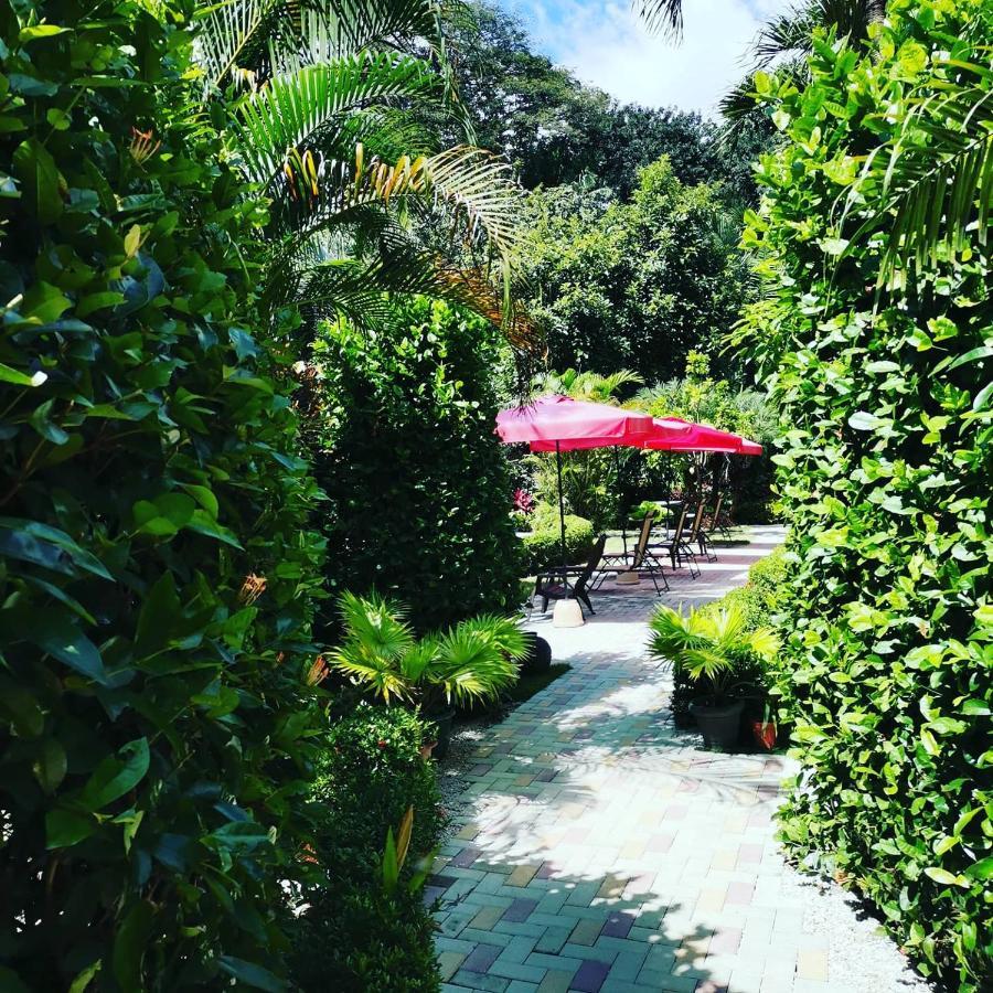 Hotel Belvedere Playa Samara Costa Rica ภายนอก รูปภาพ