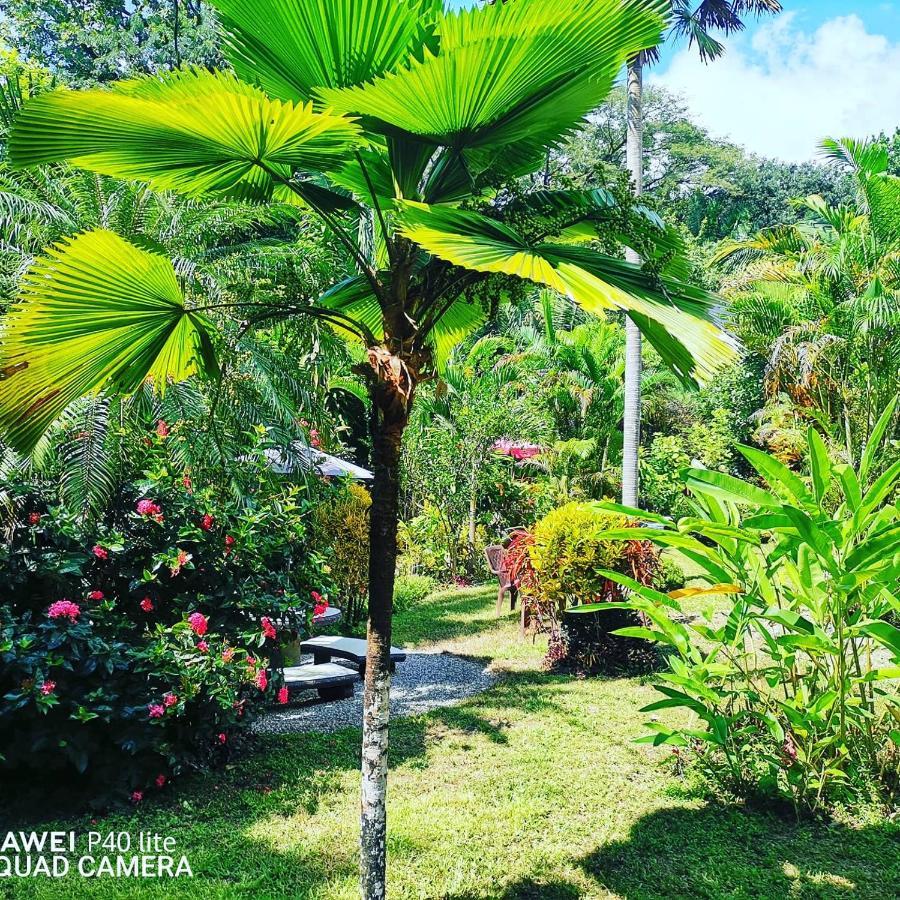 Hotel Belvedere Playa Samara Costa Rica ภายนอก รูปภาพ