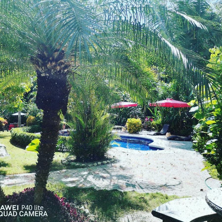 Hotel Belvedere Playa Samara Costa Rica ภายนอก รูปภาพ
